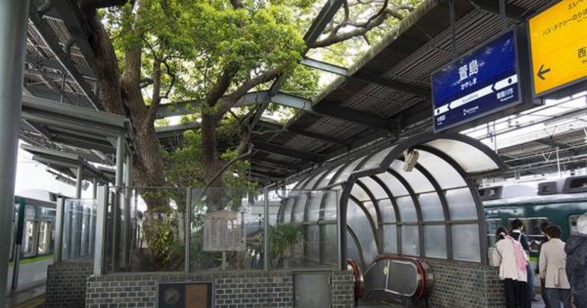 La increíble historia de la estación de trenes construida alrededor de un árbol mágico