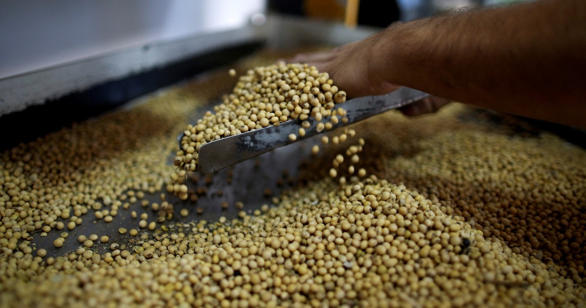 Qué pasó en el mercado de soja y maíz tras los anuncios de Milei