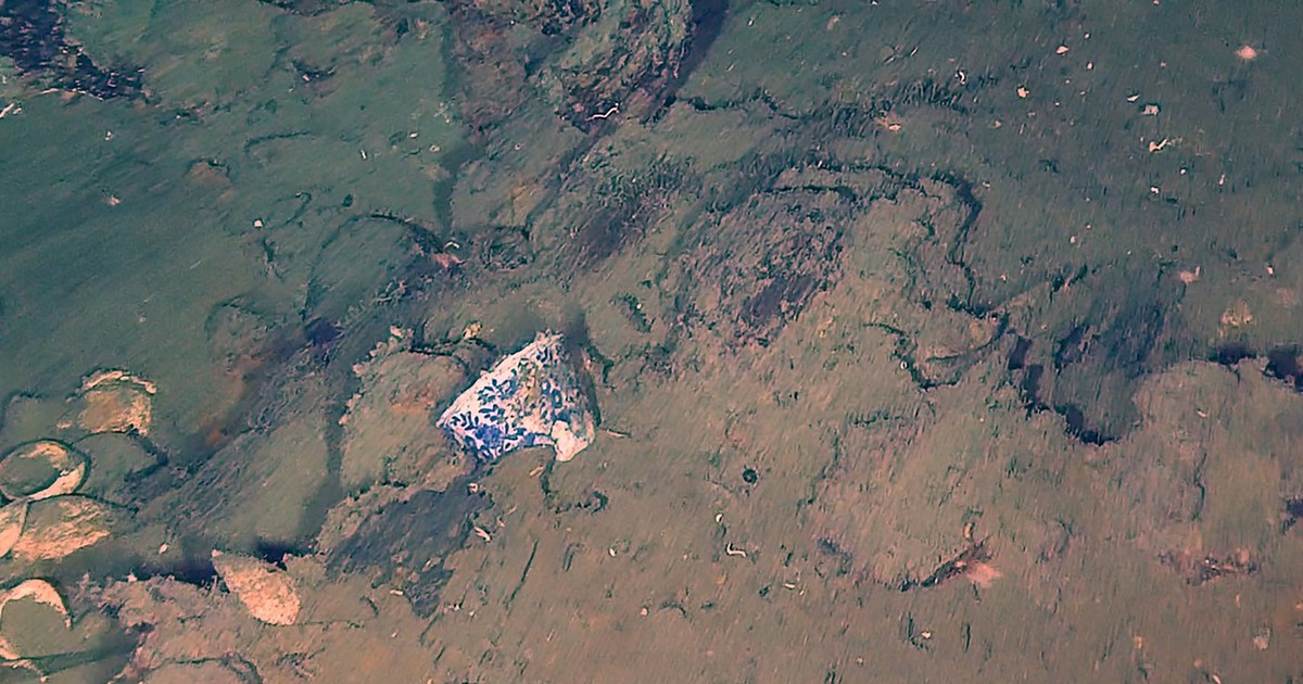 Dentro del millonario tesoro del galeón San José encontraron fabulosas tazas de porcelana china