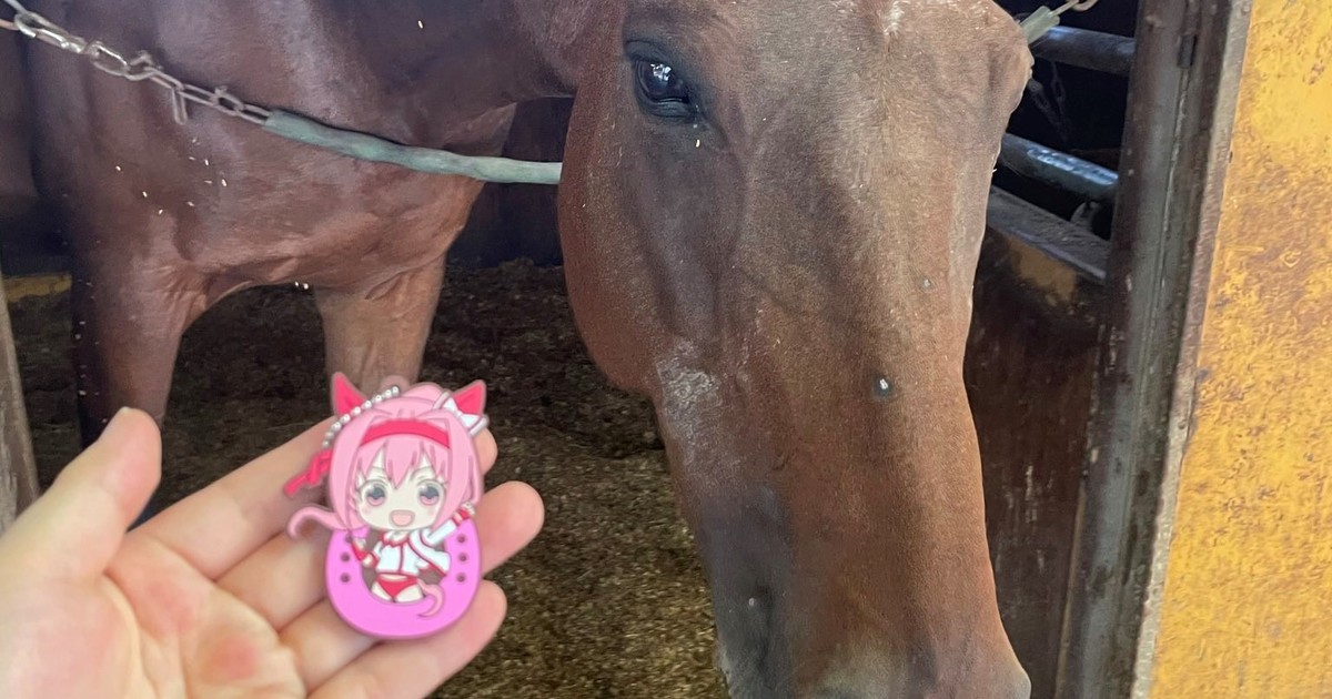 «Espero que esté corriendo libremente en el cielo»: La última publicación de Haru Urara, la yegua de carreras que alcanzó la fama por Umamusume