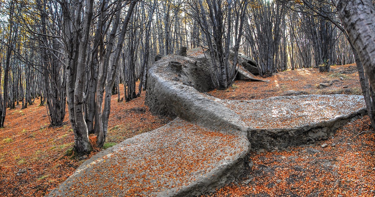 Artistas argentinos en Japón, llamado a los Premios Sony y más acuerdos Argentina-Qatar