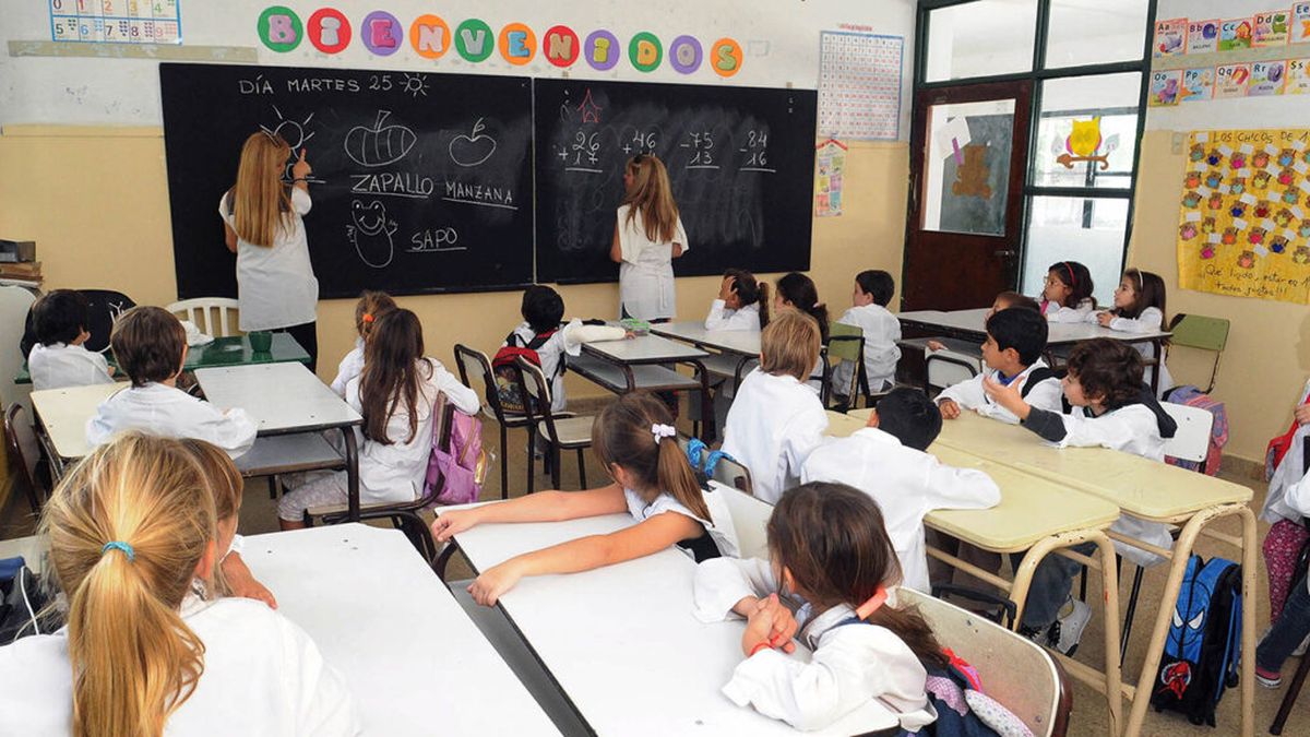 Censo nacional docente: ¿Aplica a los no docentes?