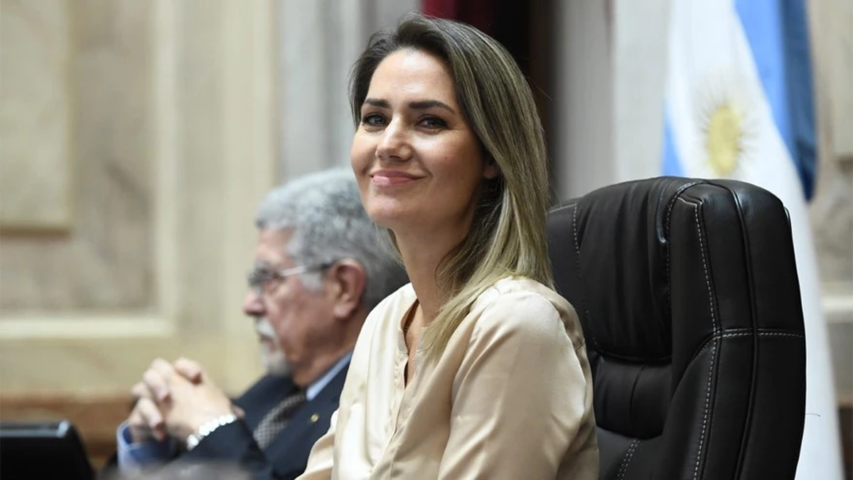 Qué papel juega la senadora santafesina Losada en la polémica reforma laboral que impulsa Milei