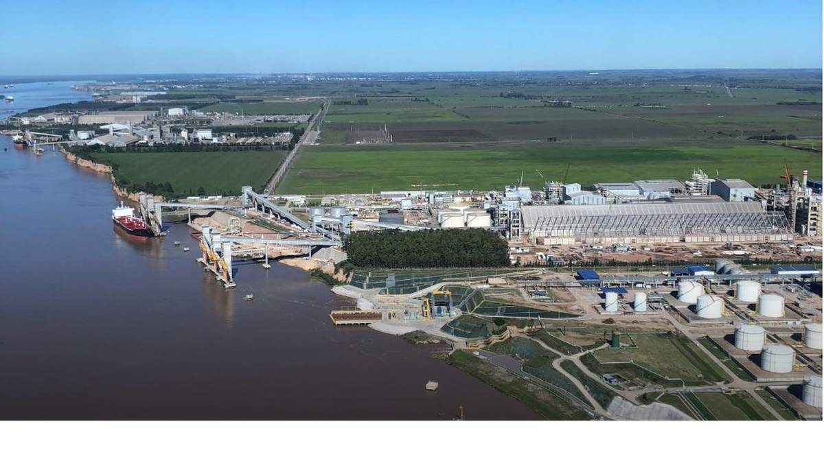 Los sindicatos aceiteros anunciaron un paro nacional contra la reforma laboral