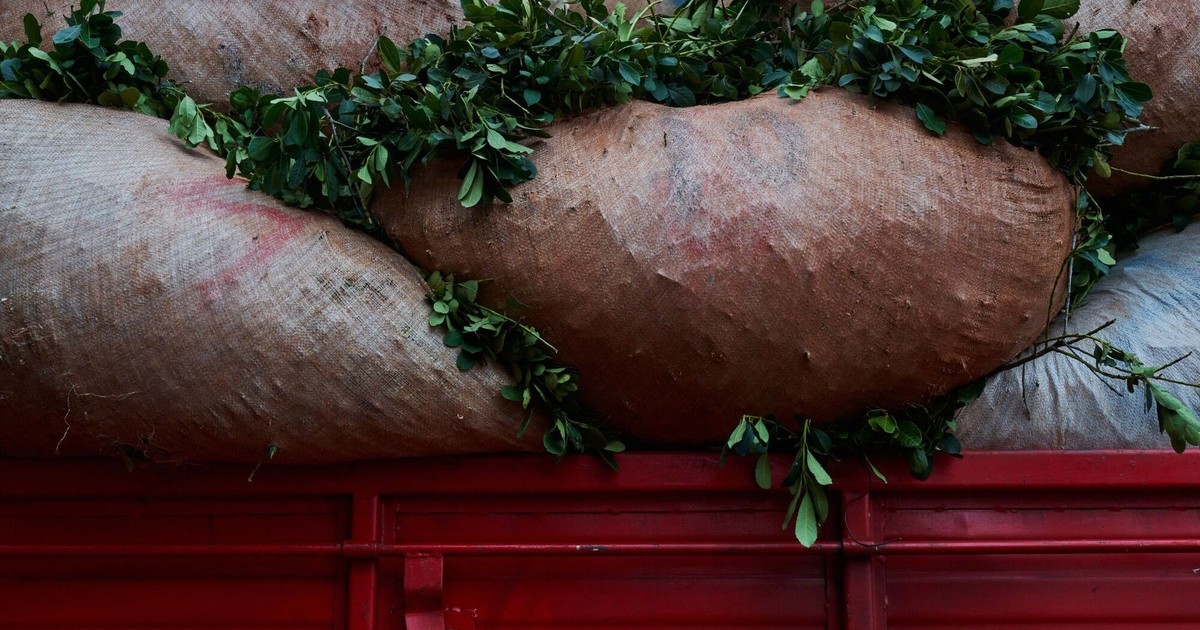 Yerba mate: productores piden la emergencia de la actividad y la eximición de impuestos