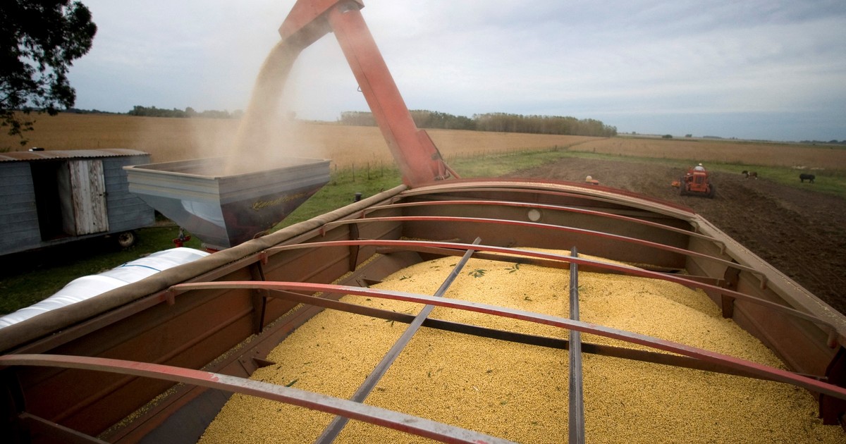 El clima, la energía y China vuelven a marcar el pulso del mercado agrícola world