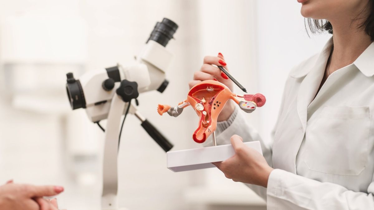 Día Internacional de la Concientización del VPH: qué es, cómo se transmite y por qué vacunarse