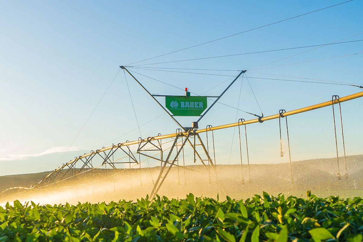 Criolani Bauer crece en el país: nueva sucursal en Rosario, Expoagro 2026 y expansión en Tucumán