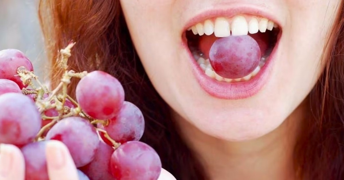 Filosofía de la fruta