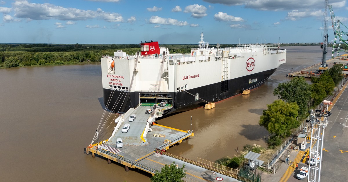 Cómo es por dentro el barco que descargó autos chinos en Zárate: un ruso al mando, 21 tripulantes para 7.000 autos y «espanta piratas» en cubierta
