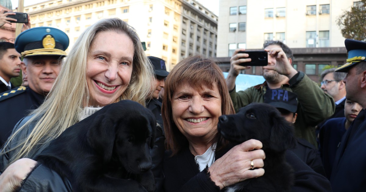 El Lollapalooza de Patricia Bullrich y el futuro de Manuel Adorni