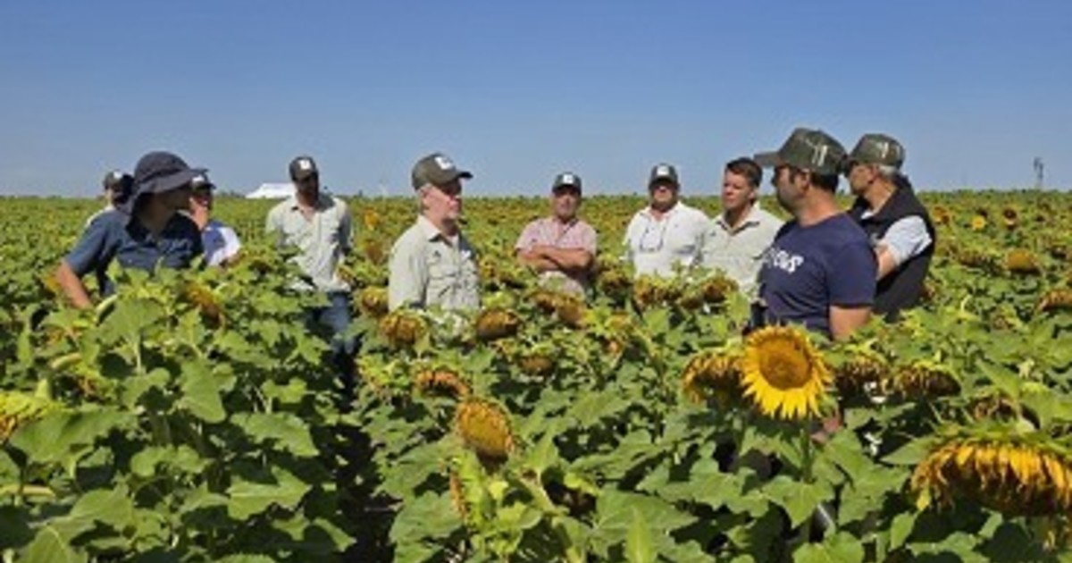 Empresa semillera argentina celebra 20 años de innovación y expandiendo sus fronteras