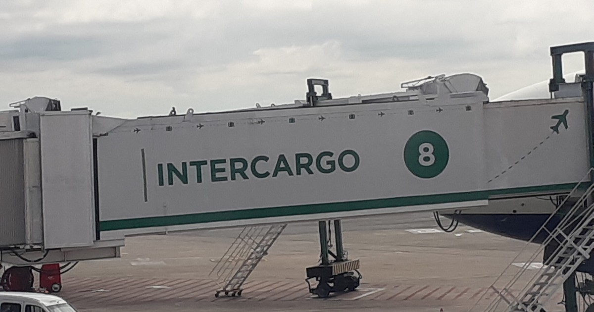 Privatización de Intercargo: el Gobierno extendió un mes el plazo para recibir ofertas y dejó afuera una parte del servicio
