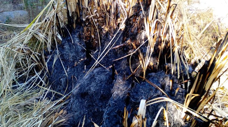 Controlaron un principio de incendio en la Reserva Pure Las Higueritas