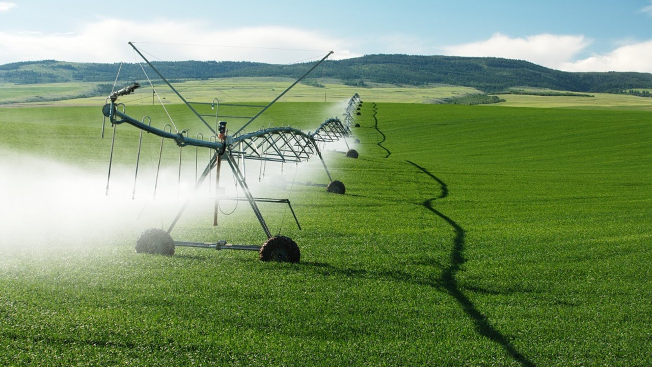 Israel da una lección a España: convirtió la escasez de agua en una industria que exporta tecnología a medio mundo