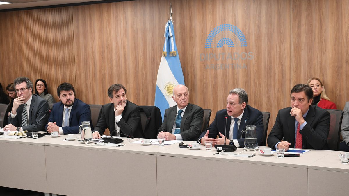 La Procuración expuso en el Congreso las dificultades para investigar y el impacto del fallo Levinas