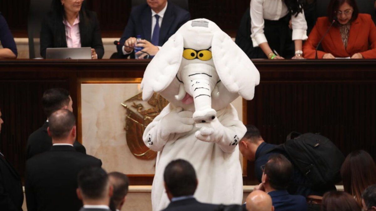 Elefante Blanco, el influencer anticorrupción que llegó al Congreso de Colombia
