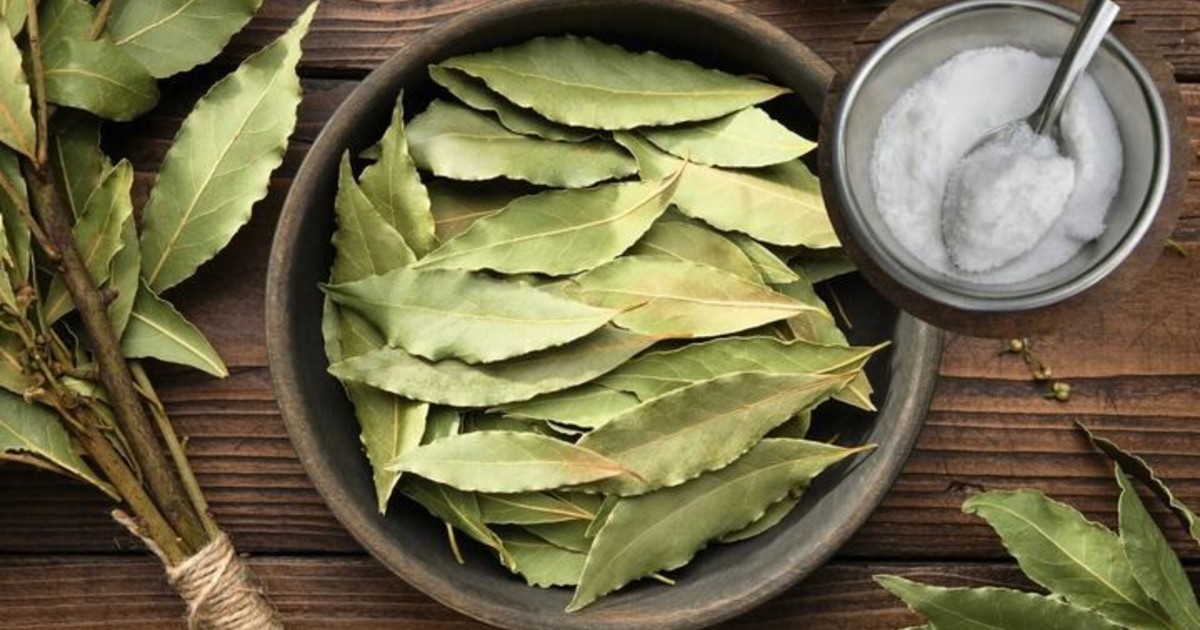 Para qué sirve mezclar hojas de laurel con bicarbonato de sodio y en qué casos recomiendan hacerlo