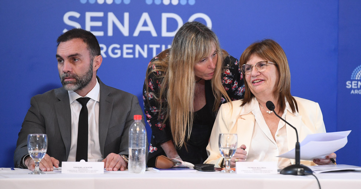 Duro cruce entre Bullrich y una senadora ultra Okay por Ni Una Menos: «Te felicito porque dijiste femicidios, lo que no hace tu ministra de Seguridad»