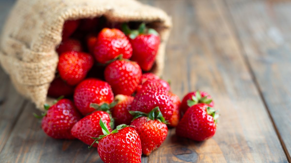 El rincón de Argentina perfecto para visitar si sos fanático de la frutilla: dónde queda y cómo llegar